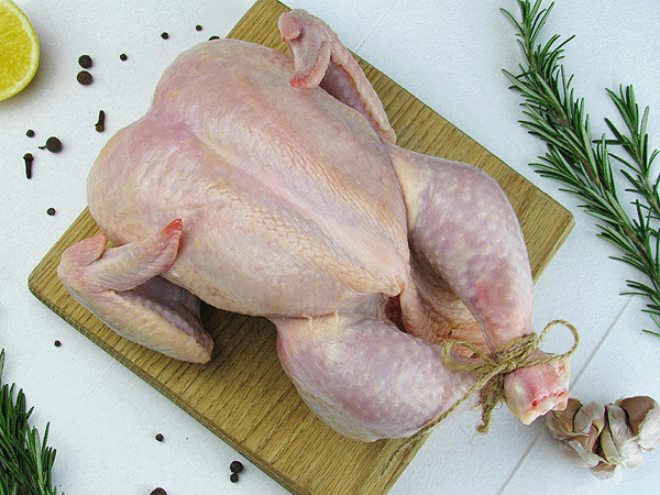 Chicken
